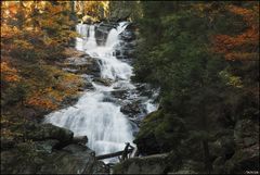 Rieslochfälle im Herbst