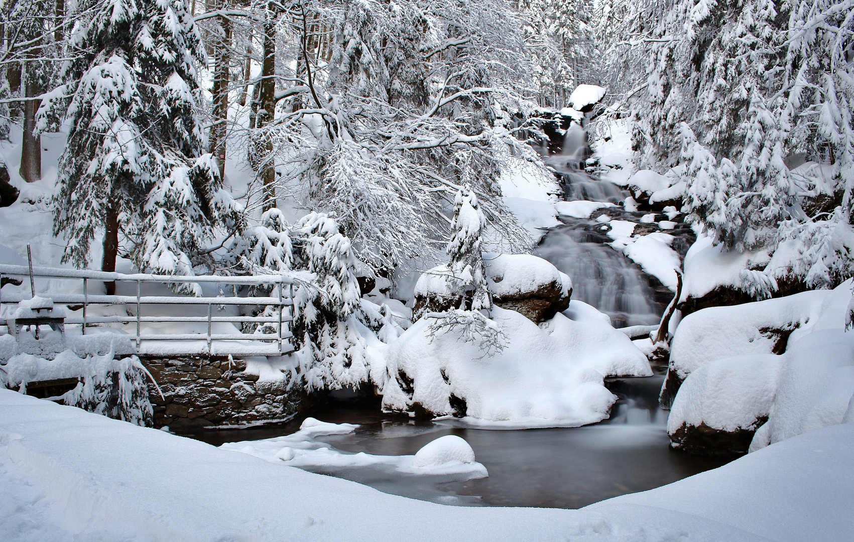 Rieslochfälle im Winter