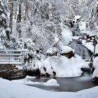 Rieslochfälle im Winter