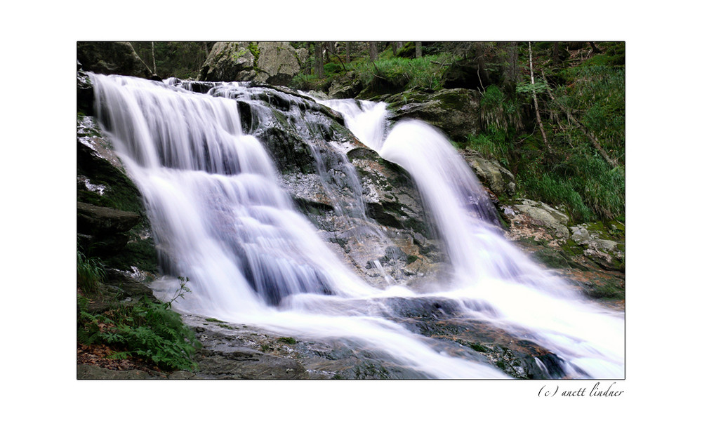 Rieslochfall #2