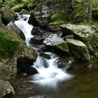 Rieslochwasserfälle