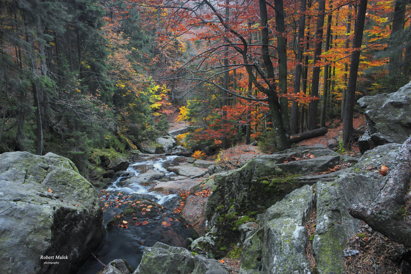 Rieslochwasserfälle bei Bodenmais in Herbstfarben