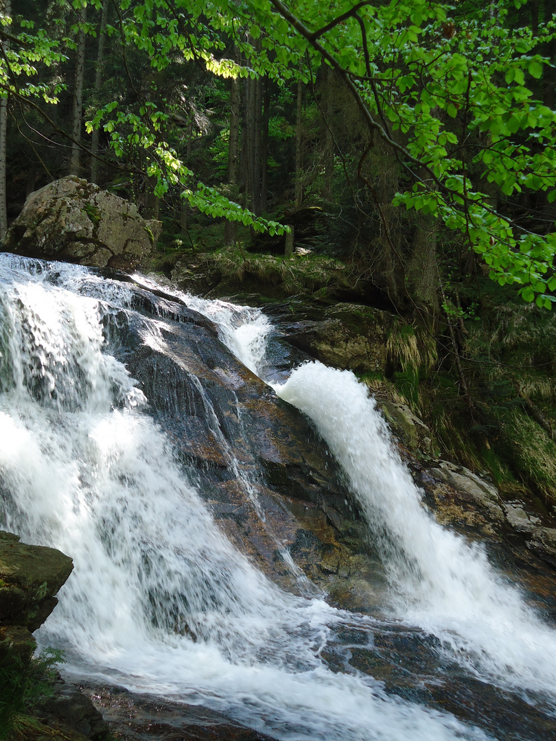 Rieslochwasserfall