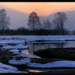 Riet in Panorama