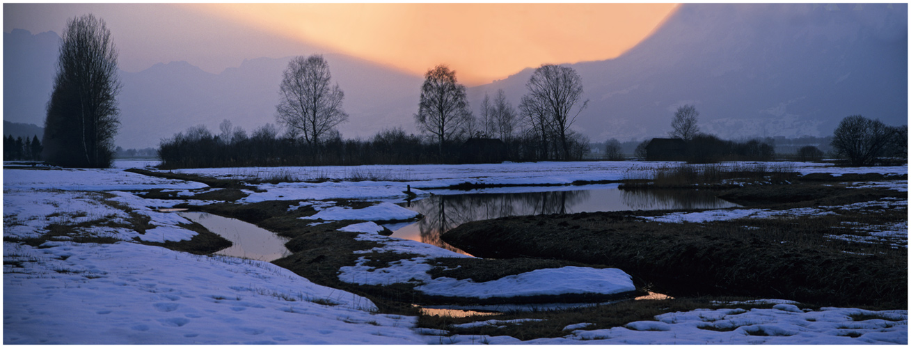 Rietlandschaft als Kalenderblatt