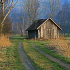 Rietlandschaft in Farbe