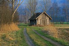 Rietlandschaft in Farbe