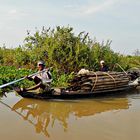 Rieur, sur son transport de bambous