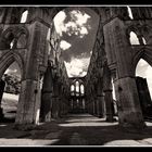 Rievaulx Abbey