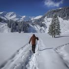 Riezlern - Schwarzwassertal -