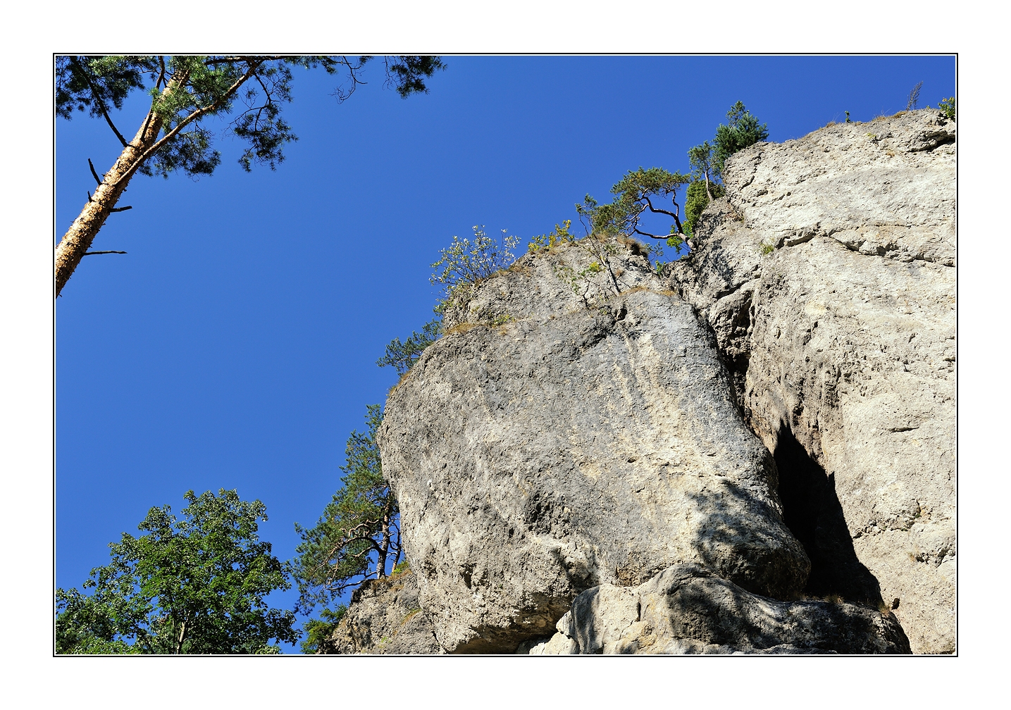 riffkalke im trubachtal