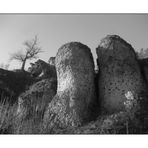 Riffkalkfelsen im Ailsbachtal