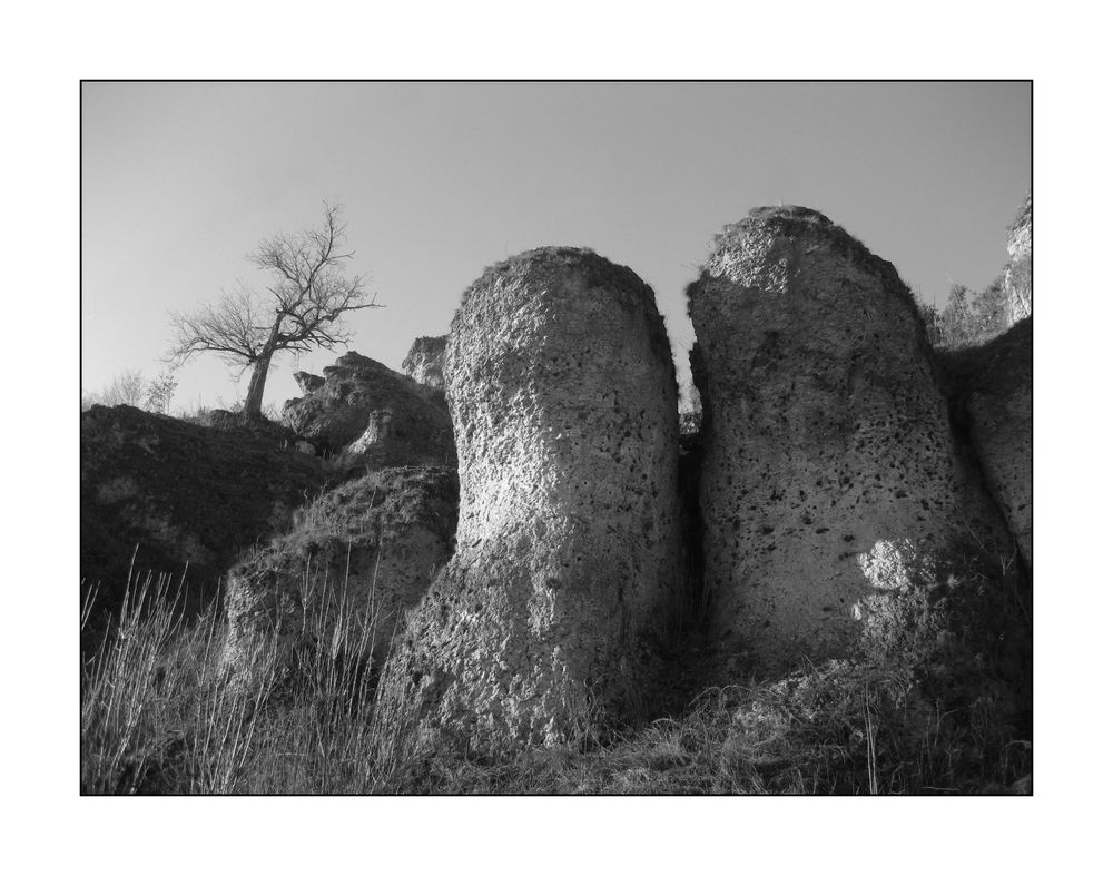 Riffkalkfelsen im Ailsbachtal