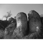 Riffkalkfelsen im Ailsbachtal