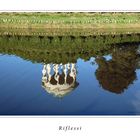 Riflessi