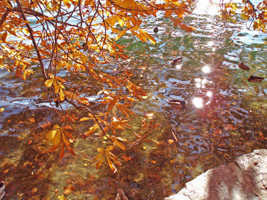 riflessi al lago