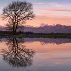 Riflessi al Parco Naturale di San Rossore