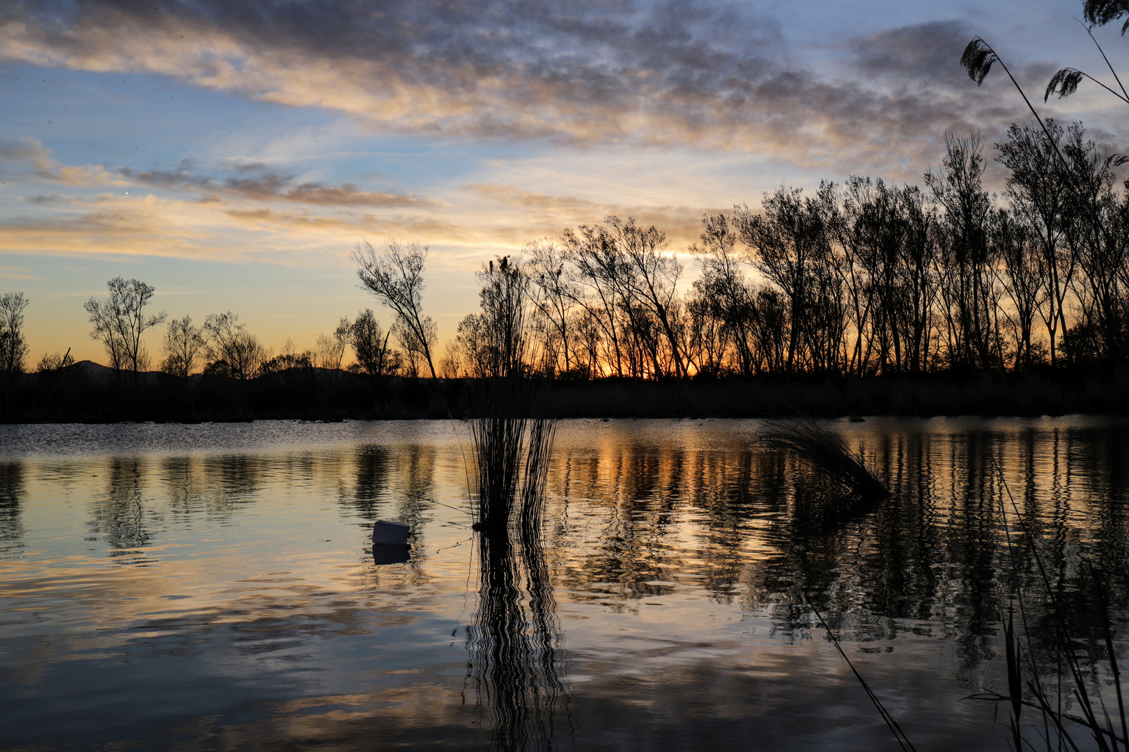 Riflessi al tramonto