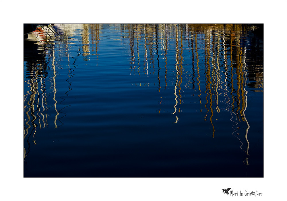 Riflessi alla Barcolana