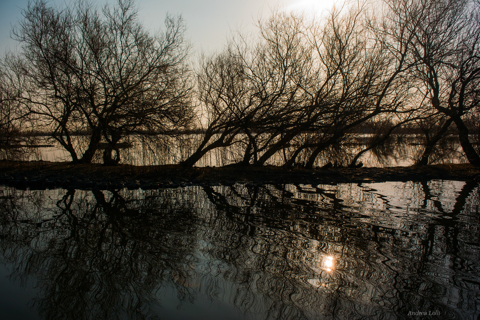 riflessi all'alba