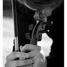 Riflessi da un violino 3