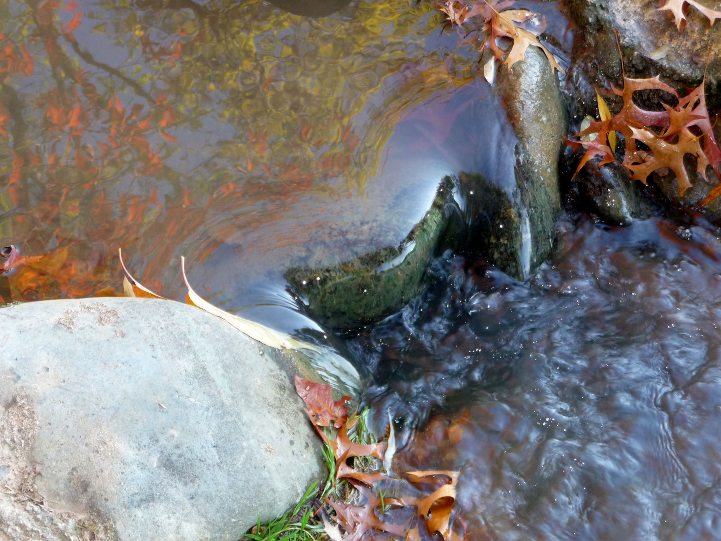 riflessi d'acqua