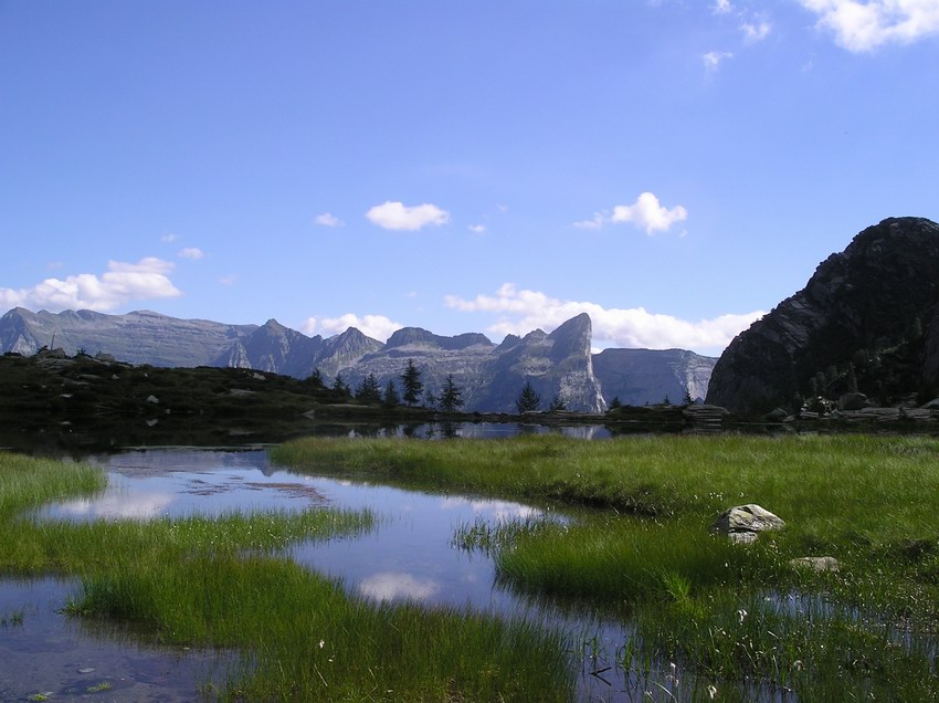 Riflessi d'acqua