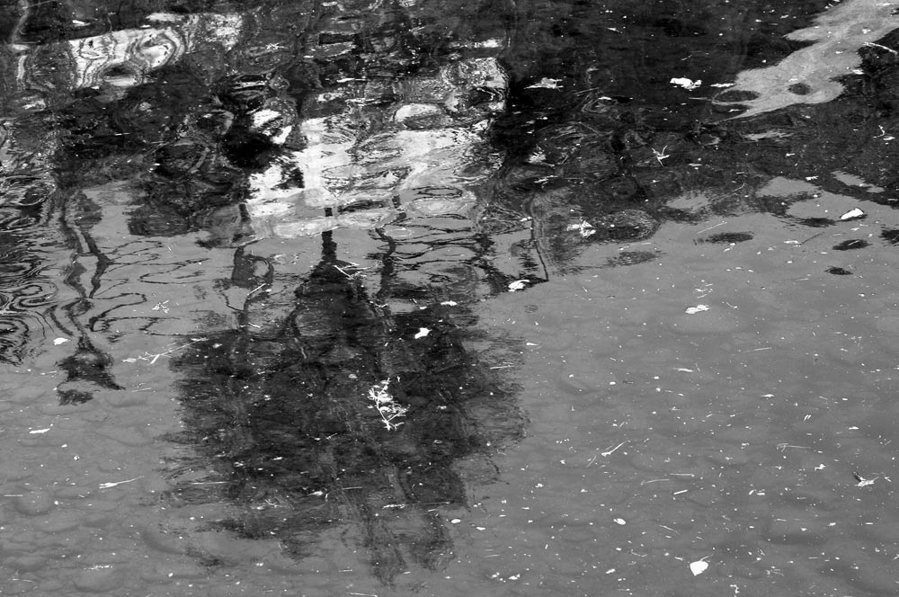 Riflessi d'alberi nel torrente