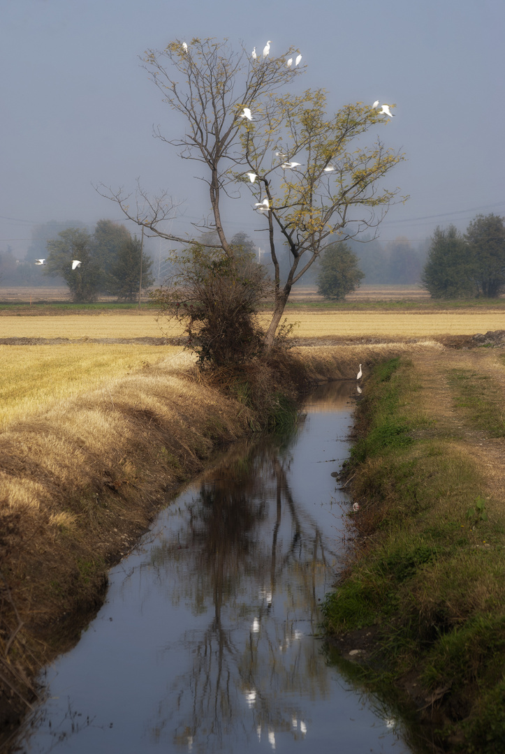 Riflessi d'autunno.