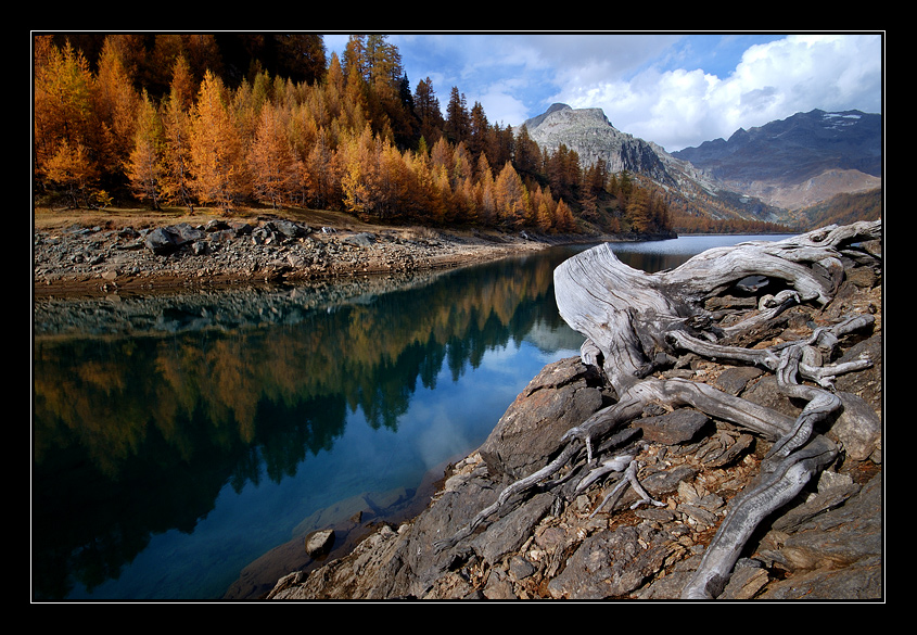 Riflessi d'autunno