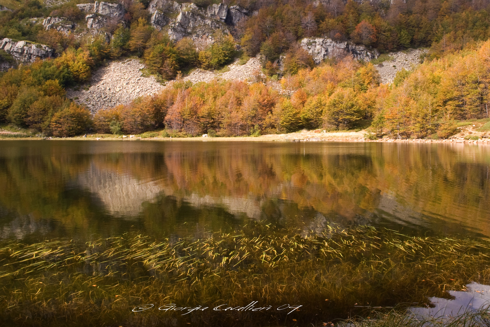 Riflessi d'autunno