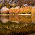 Riflessi d'autunno