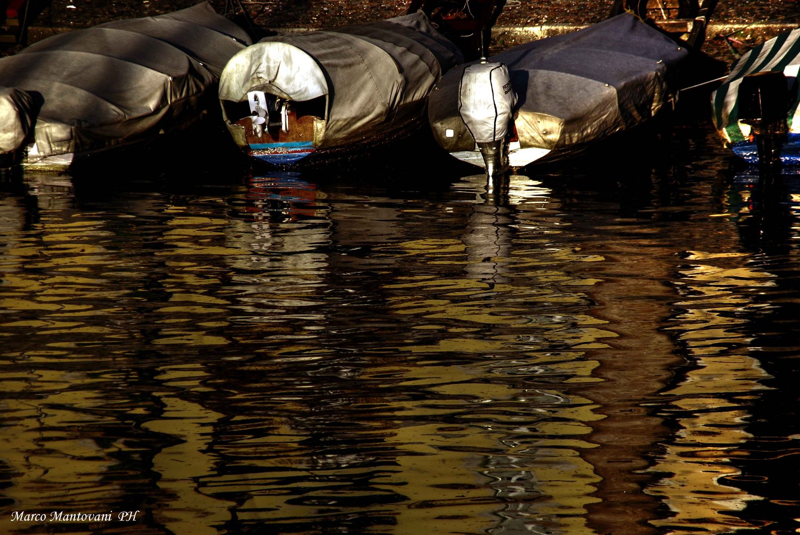 Riflessi di lago