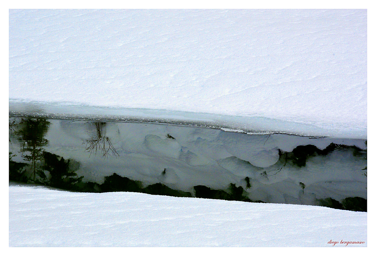 Riflessi di neve