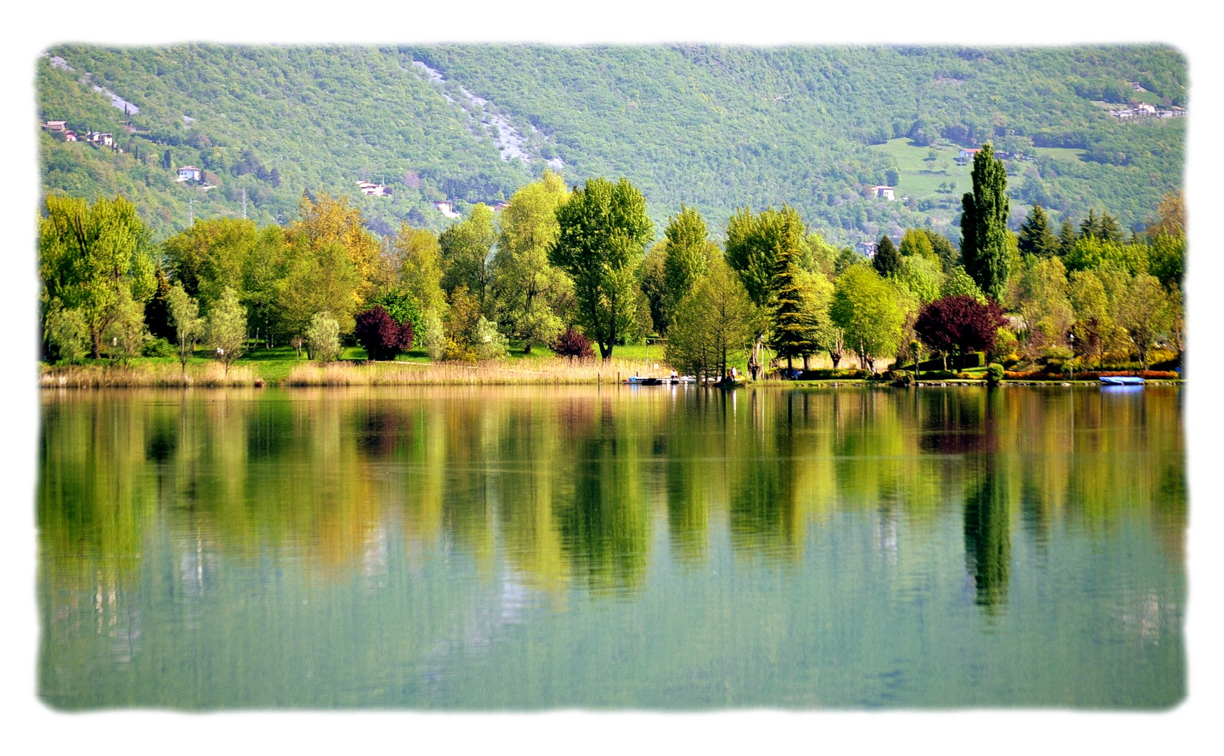 Riflessi di primavera