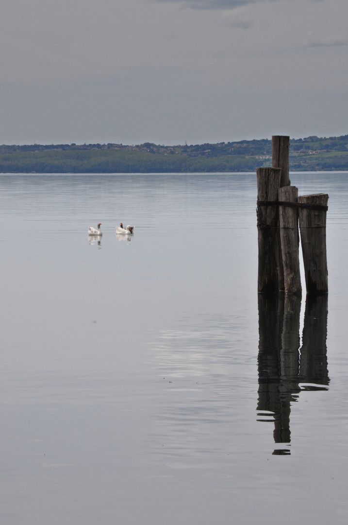 Riflessi di solitudine.