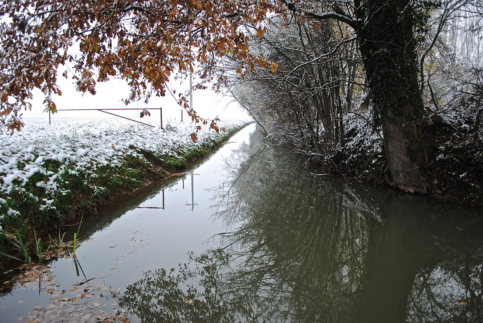 riflessi di un imminente inverno