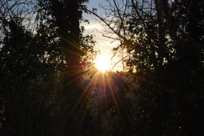 riflessi di un pomeriggio di sole