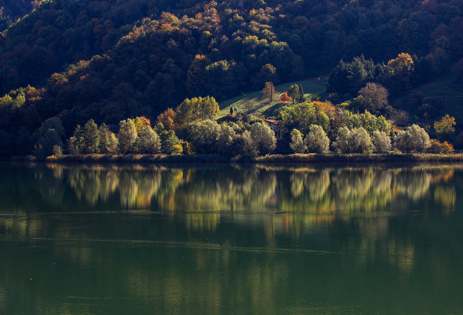 riflessi e colori