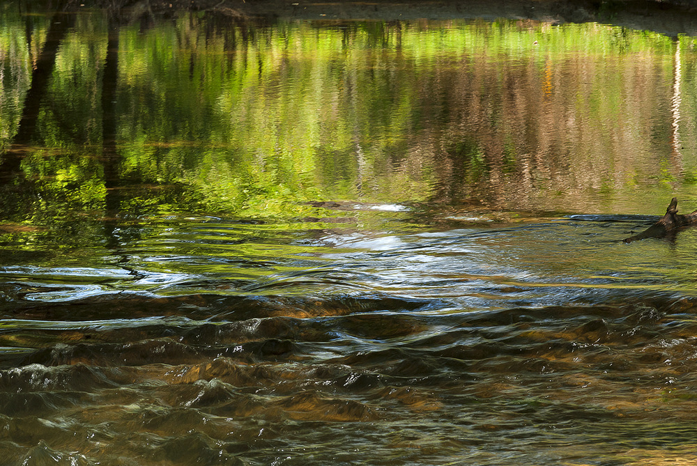 Riflessi e impressioni sull'Aniene