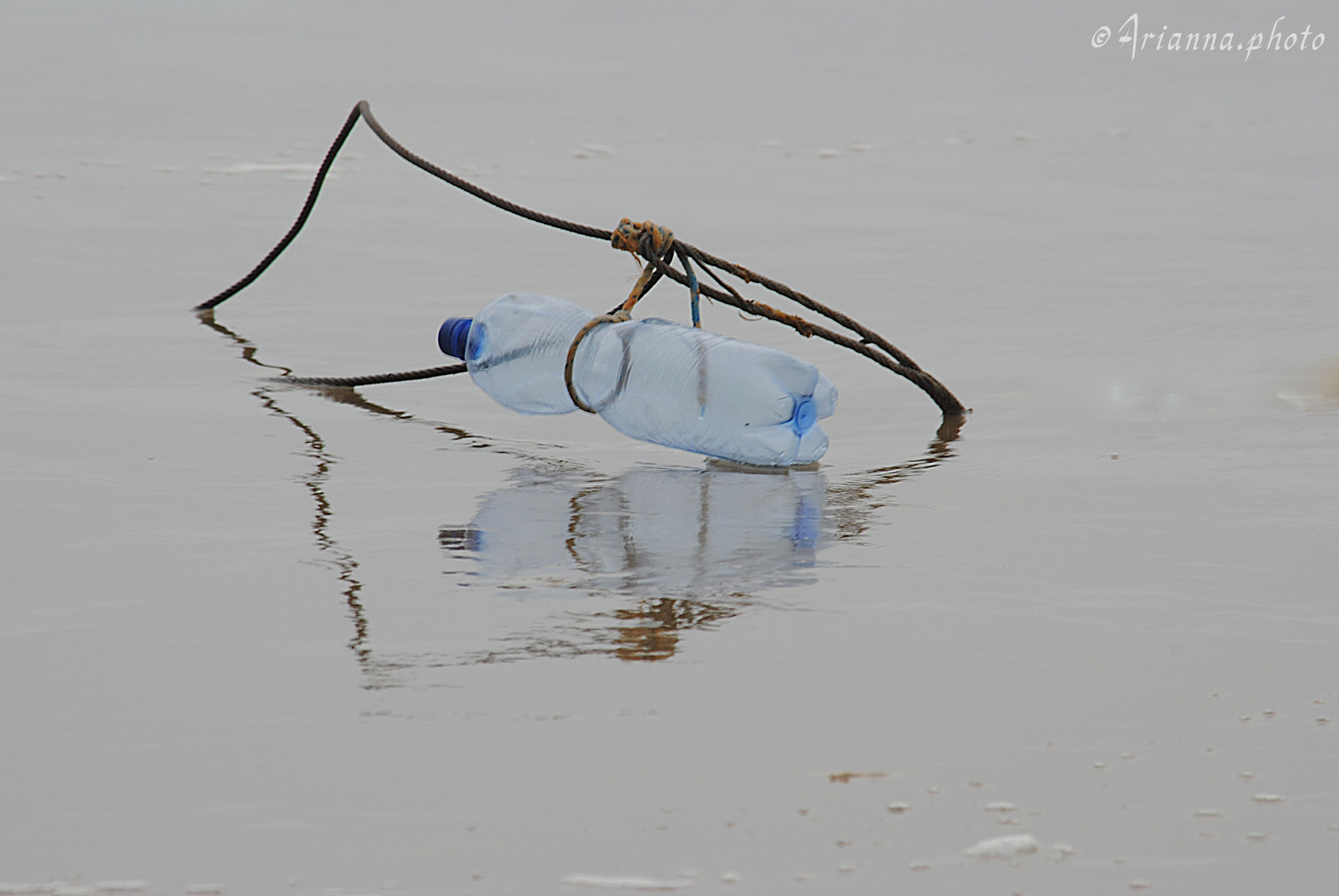 riflessi in un mare invernale