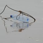 riflessi in un mare invernale