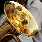 Riflessi in un trombone d'oro