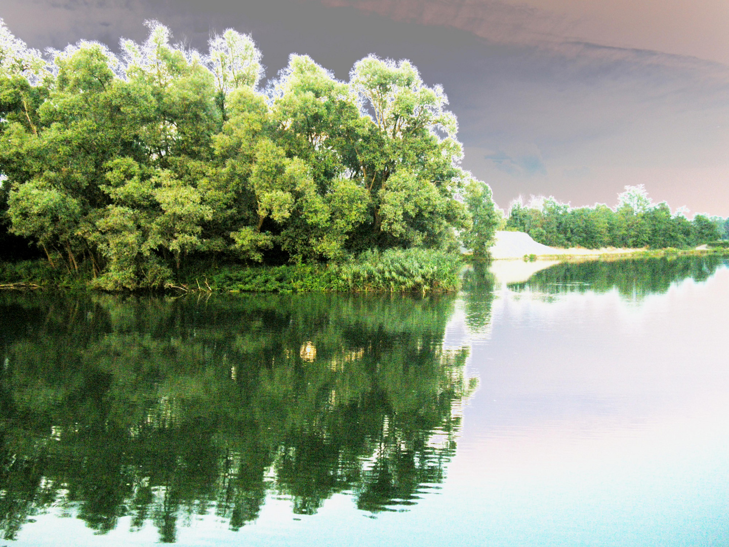 Riflessi in una morta del fiume Adda.