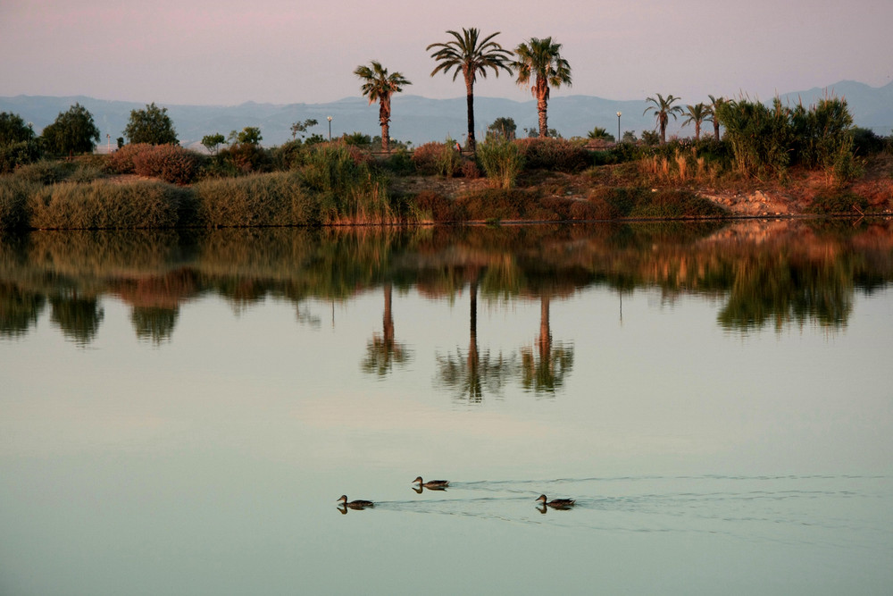 riflessi ... incontaminati