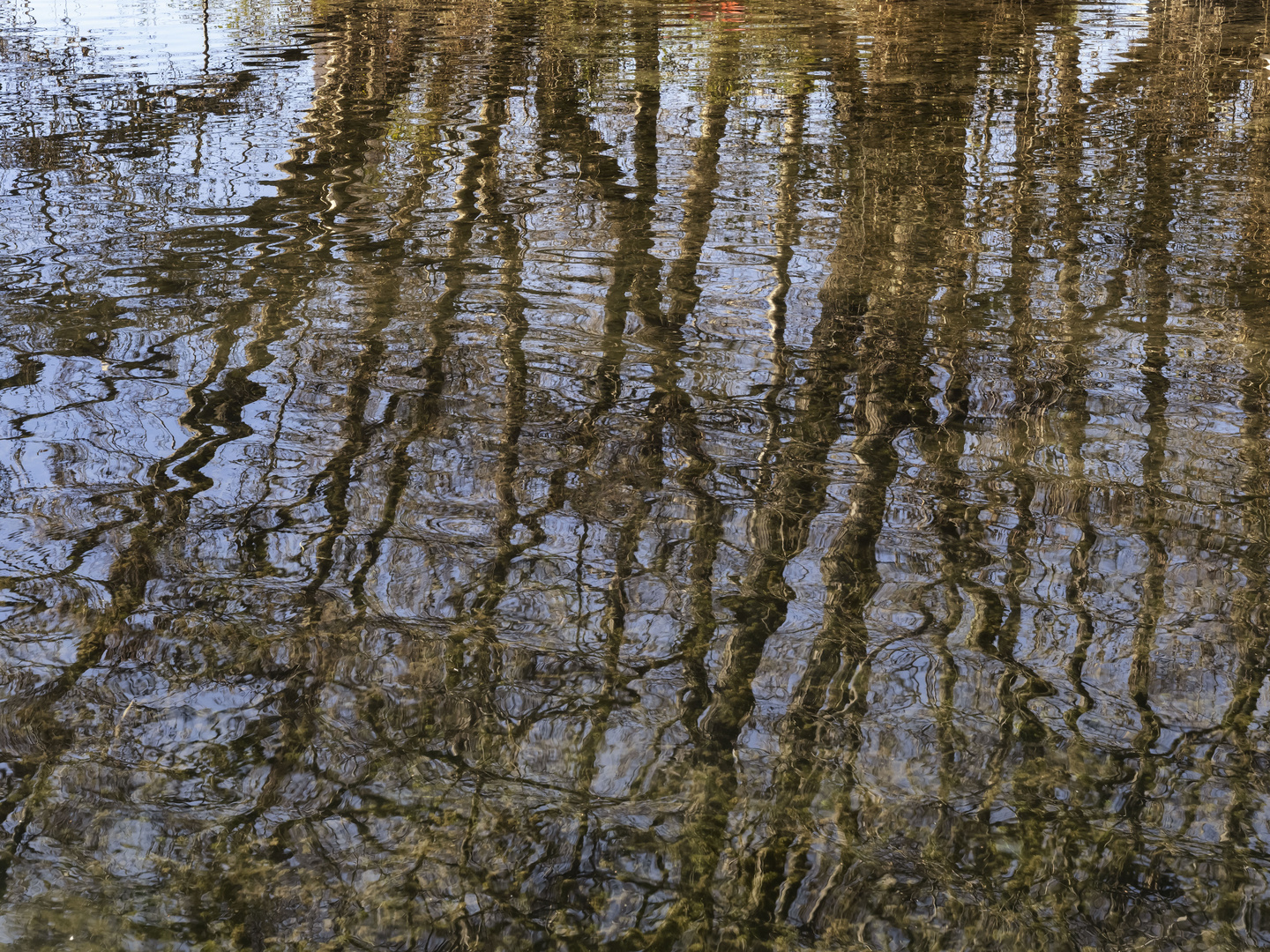 Riflessi lacustri