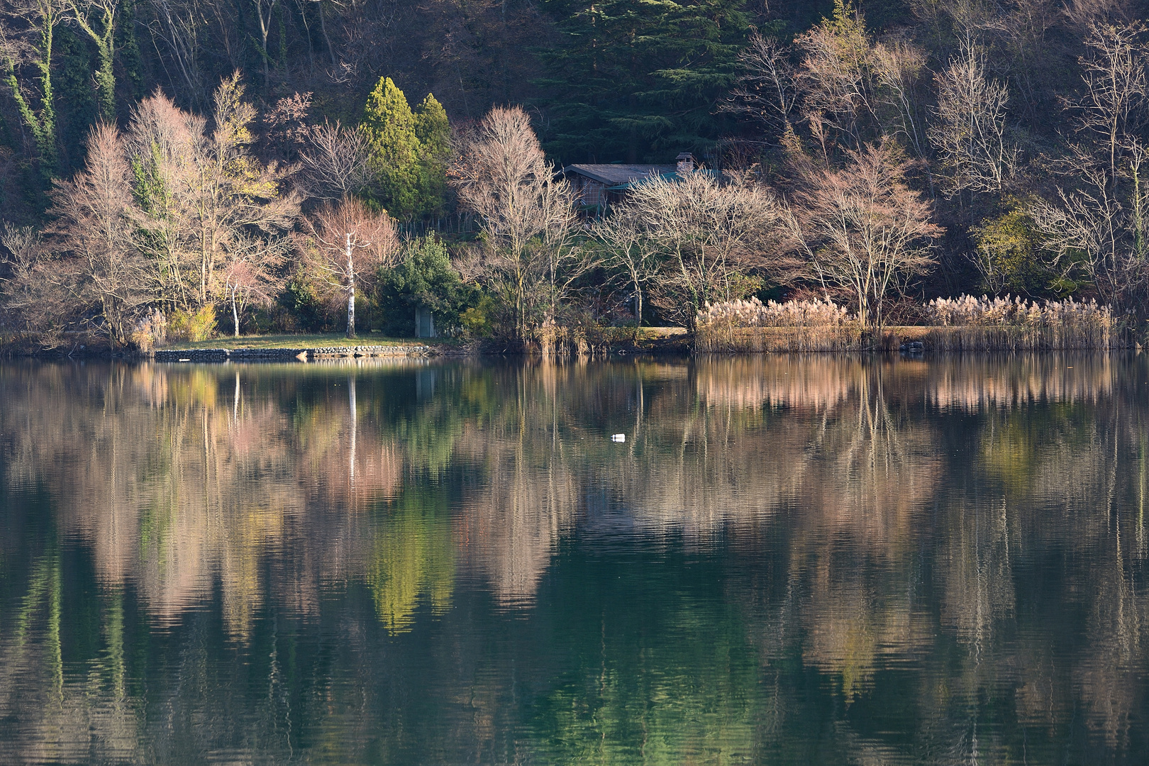 Riflessi Lago del Segrino