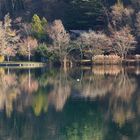 Riflessi Lago del Segrino