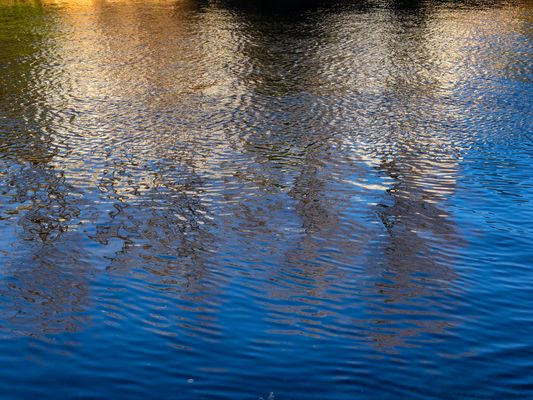 Riflessi nel fiume Tresa