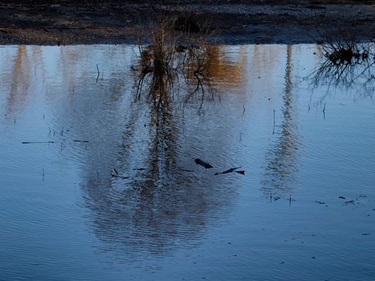 Riflessi nel fiume Tresa